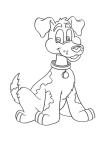 hond.jpg
